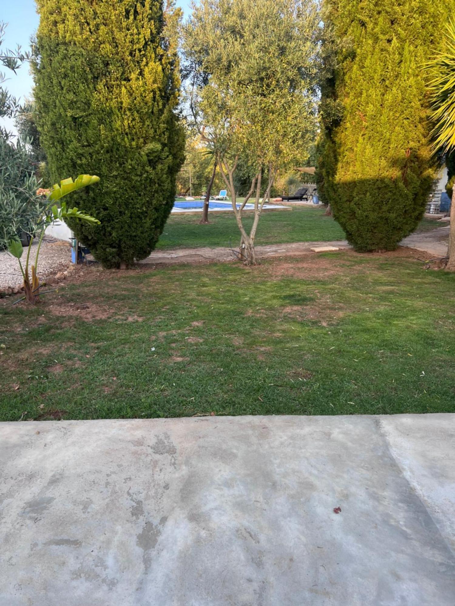 Casa Lourenco Silves Bagian luar foto